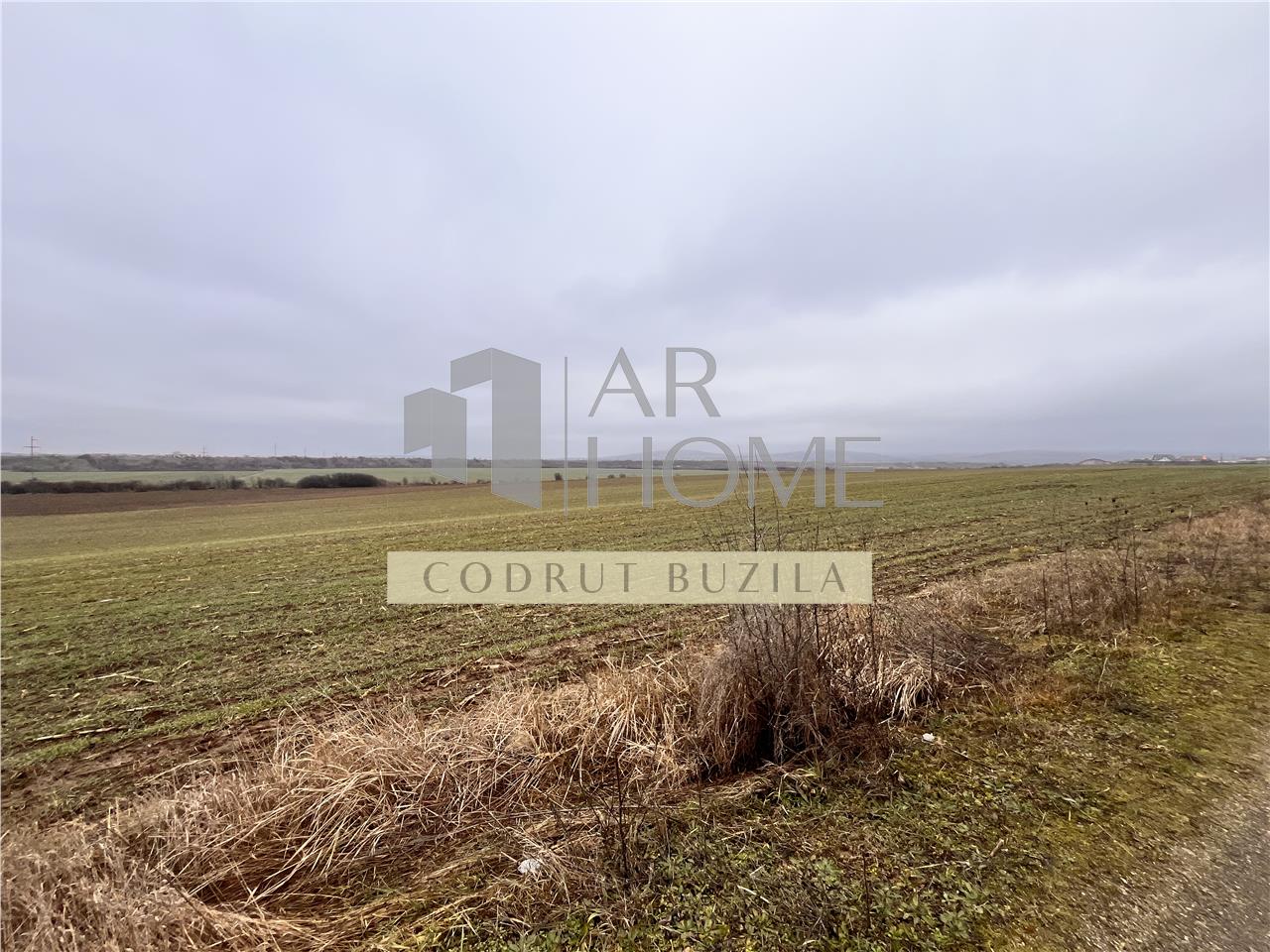 Teren intravilan 4792 mp,  Bucov