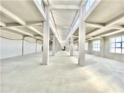 Hala noua 230 mp birouri platforma betonata, acces TIR, langa Ploiesti