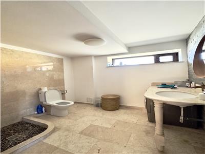 Vila de lux, P+1E+M, mobilata utilata, garaj, zona Bereasca, Ploiesti