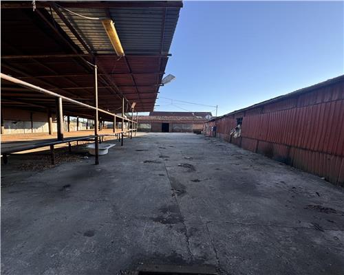 Inchiriere 2 hale industriale plus anexe in Boldesti Scaieni, judetul Prahova