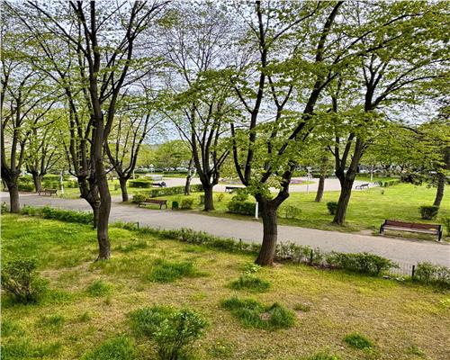 Vanzare apartament 2 camere, Ploiesti, Parcul Aurora Vest.