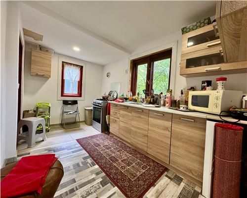 Vanzare casa individuala, P+1E, 3 camere, intr o zona superba, Baicoi, Prahova.