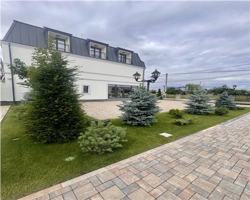 Vanzare spatiu comercial si curte generoasa, in Paulestii Noi