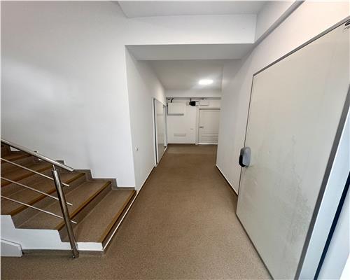 Vanzare spatiu comercial si curte generoasa, in Paulestii Noi