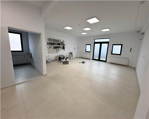 Vanzare spatiu comercial si curte generoasa, in Paulestii Noi