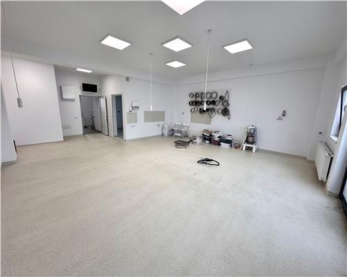 Vanzare spatiu comercial si curte generoasa, in Paulestii Noi