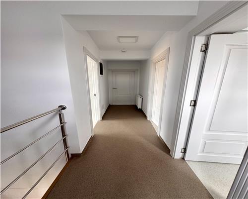 Vanzare spatiu comercial si curte generoasa, in Paulestii Noi