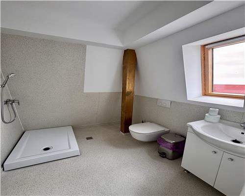 Vanzare spatiu comercial si curte generoasa, in Paulestii Noi