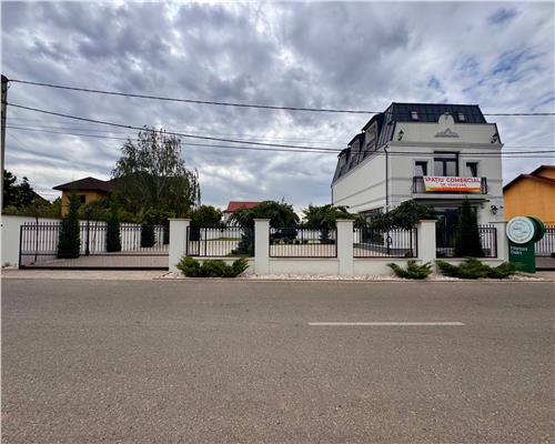 Vanzare spatiu comercial si curte generoasa, in Paulestii Noi