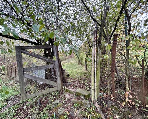 Vanzare casa 6 camere, in Baicoi, teren 1800 MP