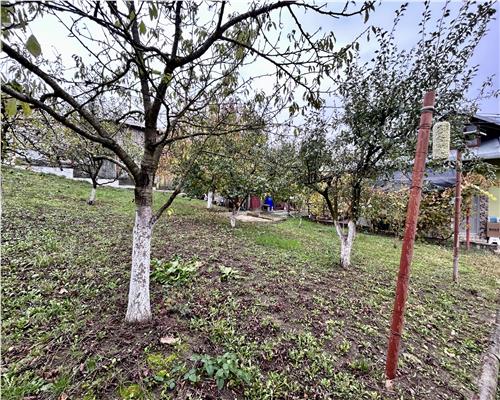 Vanzare casa 6 camere, in Baicoi, teren 1800 MP