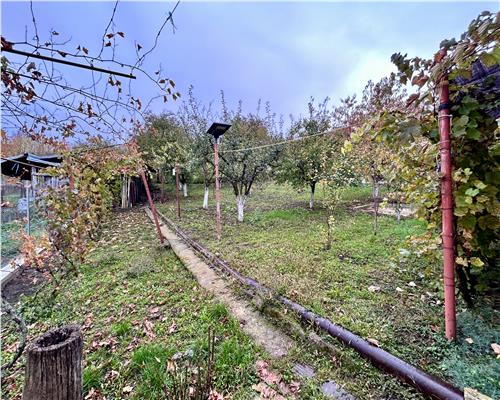 Vanzare casa 6 camere, in Baicoi, teren 1800 MP