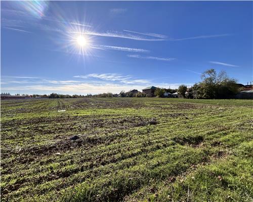 Teren 5400 MP intravilan, Baicoi