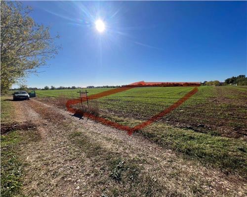 Teren 5400 MP intravilan, Baicoi