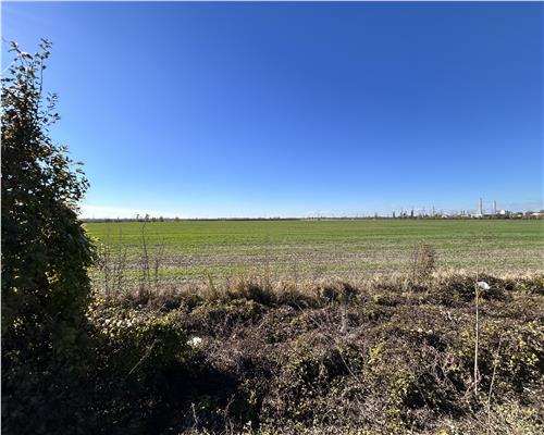 Teren Extravilan, 60.600 MP, pe DN1A, Comuna Berceni