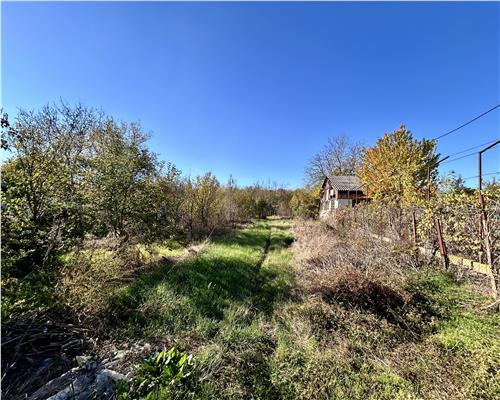 Casa 4 camere, 141 MP + Anexa 39 MP, pe DN1