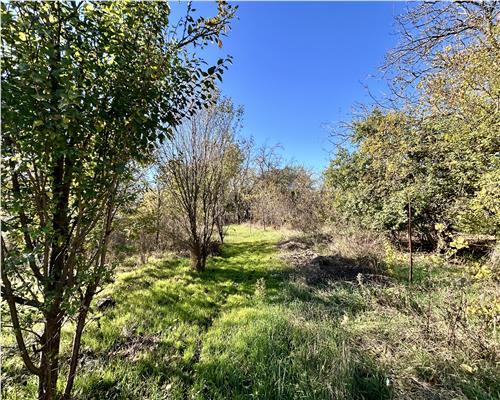 Casa 4 camere, 141 MP + Anexa 39 MP, pe DN1