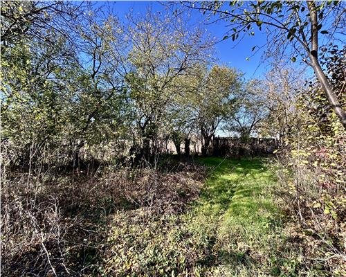 Casa 4 camere, 141 MP + Anexa 39 MP, pe DN1