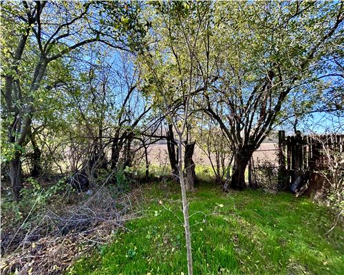 Casa 4 camere, 141 MP + Anexa 39 MP, pe DN1