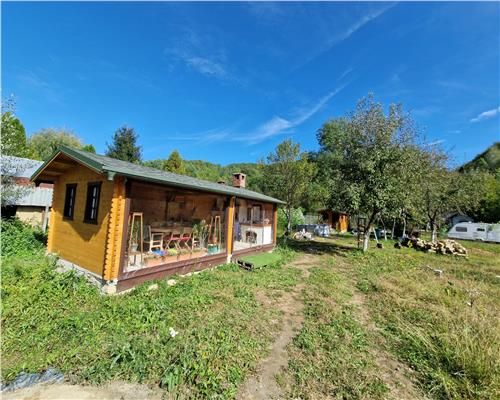 Teren cu constructii Cosmina de Sus - Foisor, baie, cabanuta si umbrar