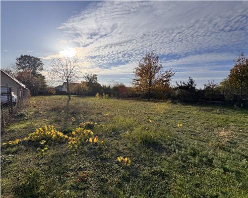 Teren intravilan, in Paulesti, Prahova