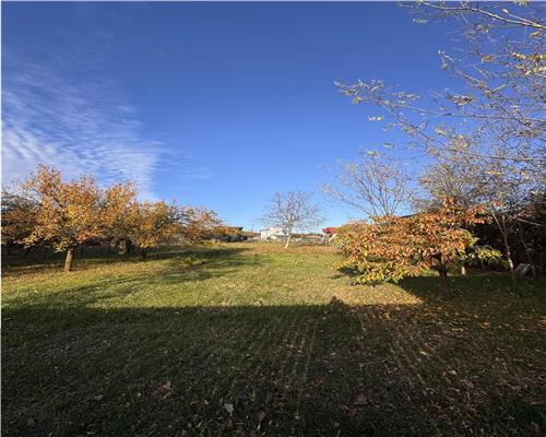 Teren intravilan, in Paulesti, Prahova