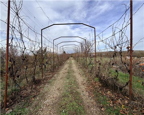 Pensiune 6 camere, teren 12713 mp, Dealul Mare, Urlati, Prahova