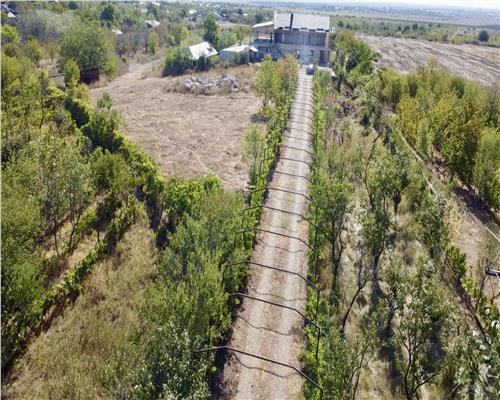 Pensiune 6 camere, teren 12713 mp, Dealul Mare, Urlati, Prahova