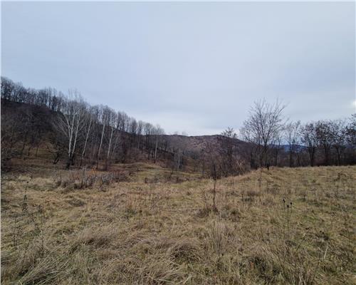 Teren intravilan de vanzare 1500mp, in orasul Slanic, judetul Prahova