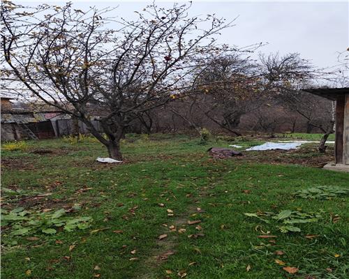 Casa Baicoi central  135 mp s.c.