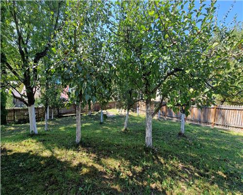 Vila  Provita de  Jos 380mp