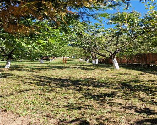 Vila  Provita de  Jos 380mp