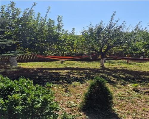 Vila  Provita de  Jos 380mp