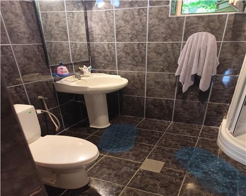 Vila superba 7 camere, Provita de Jos, 22.000 mp teren