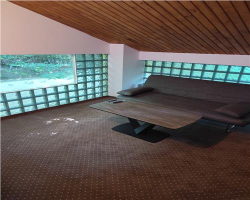 Vila superba 7 camere, Provita de Jos, 22.000 mp teren