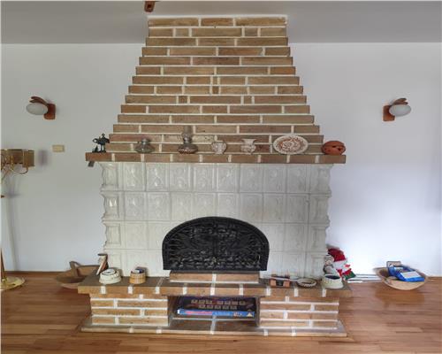 Vila superba 7 camere, Provita de Jos, 22.000 mp teren