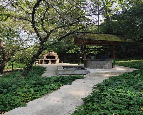 Vila superba 7 camere, Provita de Jos, 22.000 mp teren