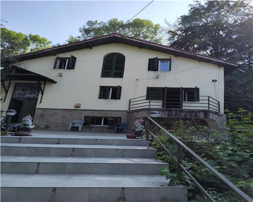 Vila superba 7 camere, Provita de Jos, 22.000 mp teren