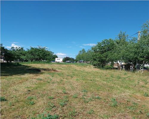 Teren Baicoi intravilan 1942 mp