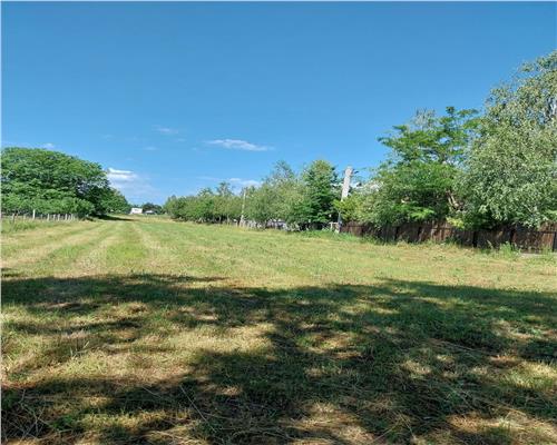 Teren Baicoi intravilan 1942 mp