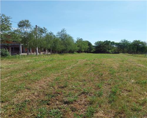 Teren Baicoi intravilan 1942 mp