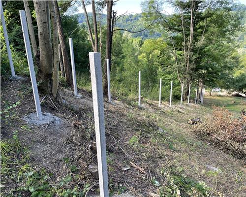 Teren Provita de jos 2300 mp Centru