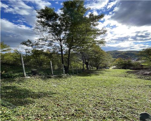 Teren Provita de jos 2300 mp Centru