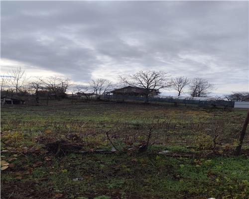 Teren1061 mp Baicoi deschidere 36ml