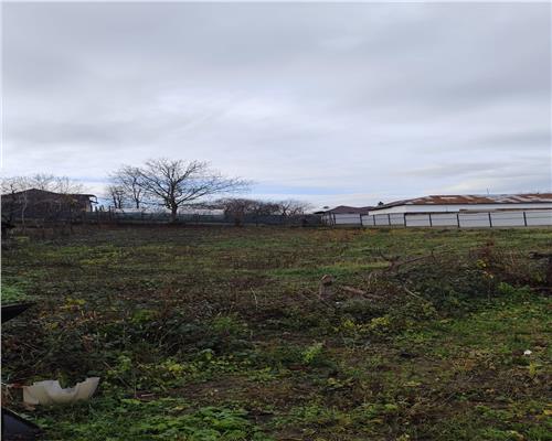 Teren1061 mp Baicoi deschidere 36ml