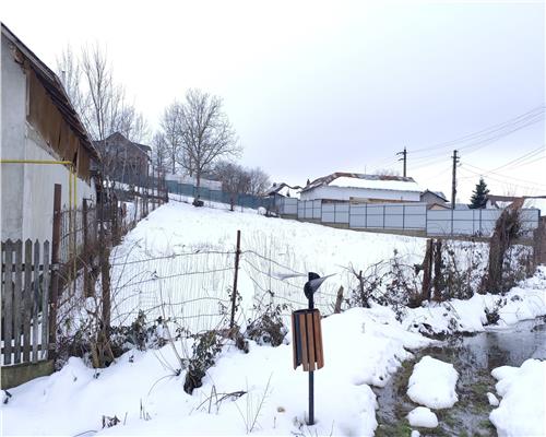 Teren1061 mp Baicoi deschidere 36ml