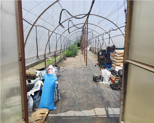 Vila duplex 10 camere, Ploiesti, Albert