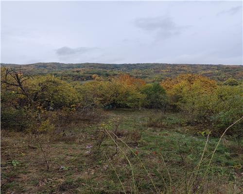 Vanzare sau Schimb teren central Drajna  5000 mp