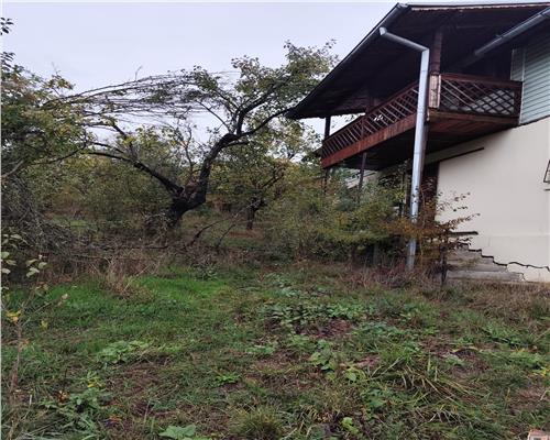 Vanzare sau Schimb teren central Drajna  5000 mp