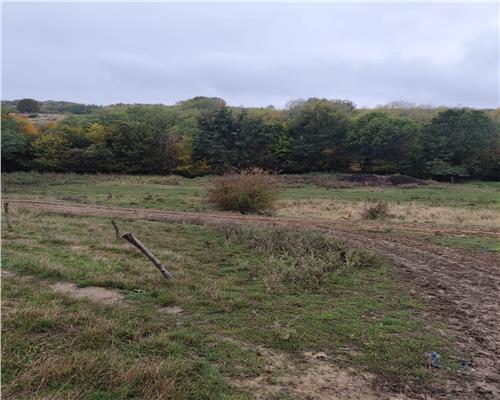 Vila Teisani sat Stubeiu 11250 mp